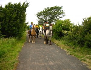 riders on a bridleway